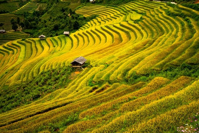 Vietnam